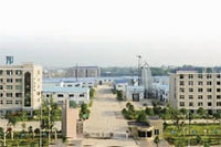 来利国际w66,油茶莳植生产加工销售,植物油莳植生产加工销售