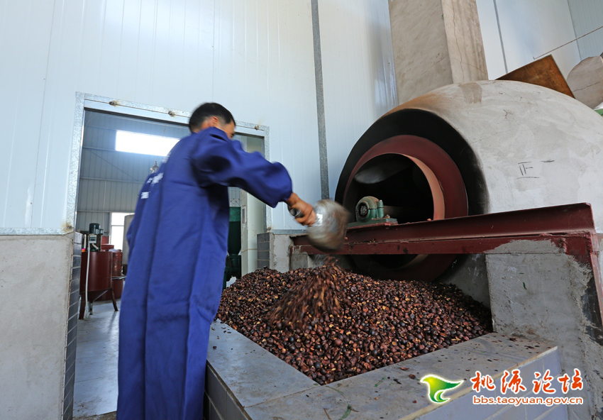 来利国际w66,油茶莳植生产加工销售,植物油莳植生产加工销售