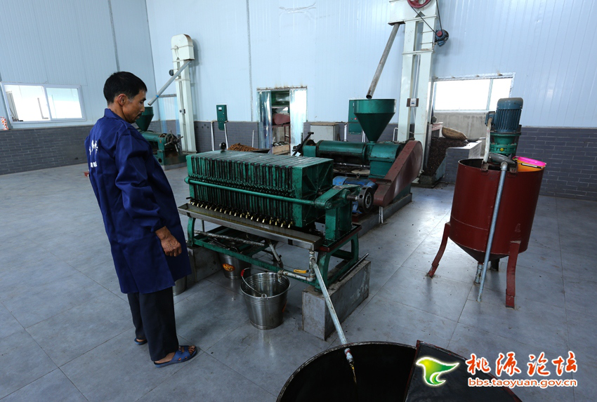 来利国际w66,油茶莳植生产加工销售,植物油莳植生产加工销售