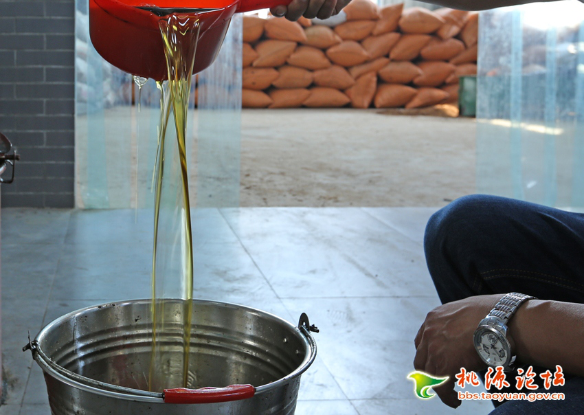 来利国际w66,油茶莳植生产加工销售,植物油莳植生产加工销售