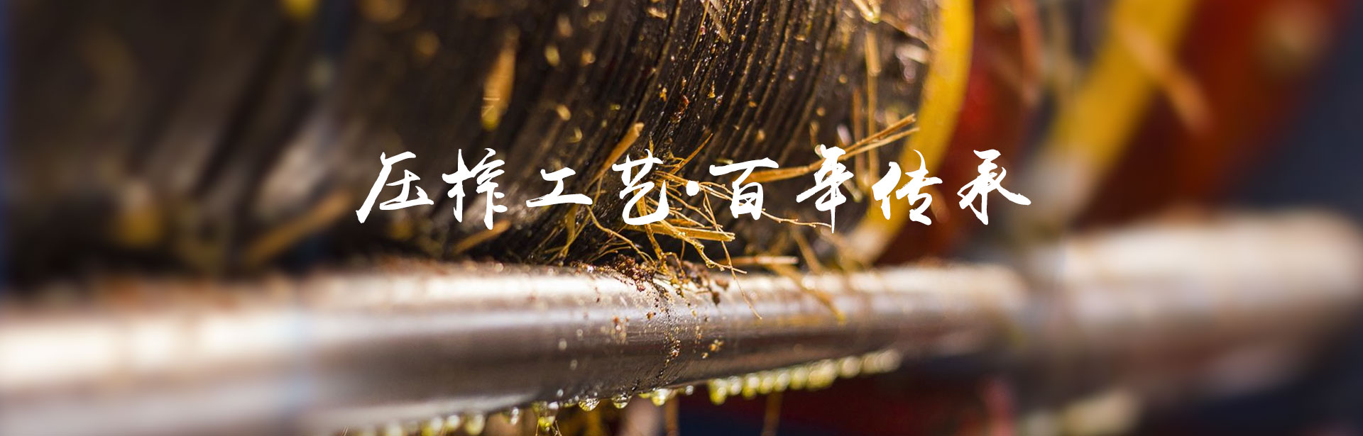 来利国际w66_油茶莳植生产加工销售|植物油莳植生产加工销售