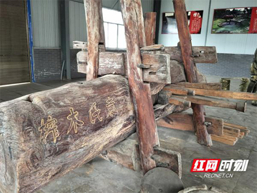 来利国际w66,油茶莳植生产加工销售,植物油莳植生产加工销售