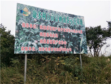 来利国际w66,油茶莳植生产加工销售,植物油莳植生产加工销售