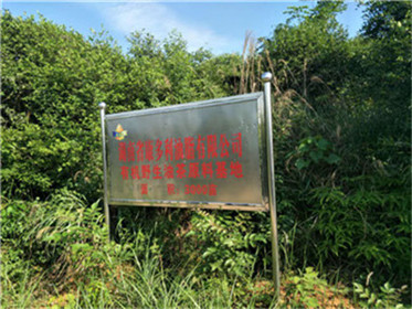 来利国际w66,油茶莳植生产加工销售,植物油莳植生产加工销售