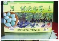来利国际w66,油茶莳植生产加工销售,植物油莳植生产加工销售