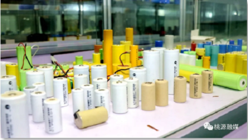 来利国际w66,油茶莳植生产加工销售,植物油莳植生产加工销售